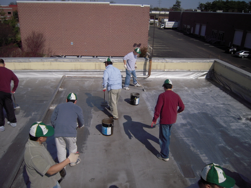 Resized_va roof 045.jpg